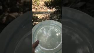 Logan Paul Plate Breaking