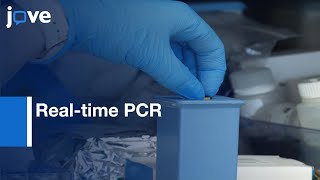 Serum and Plasma Copy Number Detection by Real-time PCR | Protocol Preview