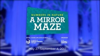 Nature in Numbers: A Mirror Maze– Behind The Scenes