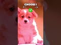 #subscribe if you have a this dog look like this 😇