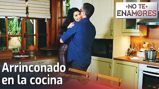 Arrinconado En La Cocina 🥰 - No Te Enamores (Audio Español) | Kaderimin Yazıldığı Gün