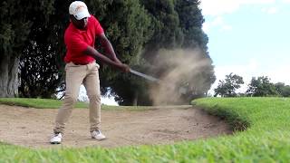 F North Of Limpopo - Cde Treasure Basopo Swing Ysis. File