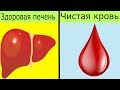 🍀 10 продуктов для очищения печени + 10 продуктов для очищения крови | Я знаю