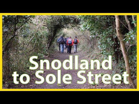 Tranquil Stroll from Snodland to Sole Street: Exploring Kent's Scenic Pathways | UK Walking 🇬🇧