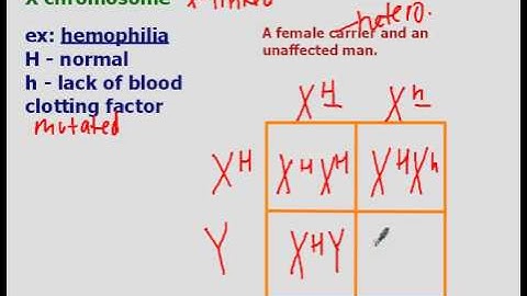 Incomplete Dominance, Codominance, and Sex-Linked