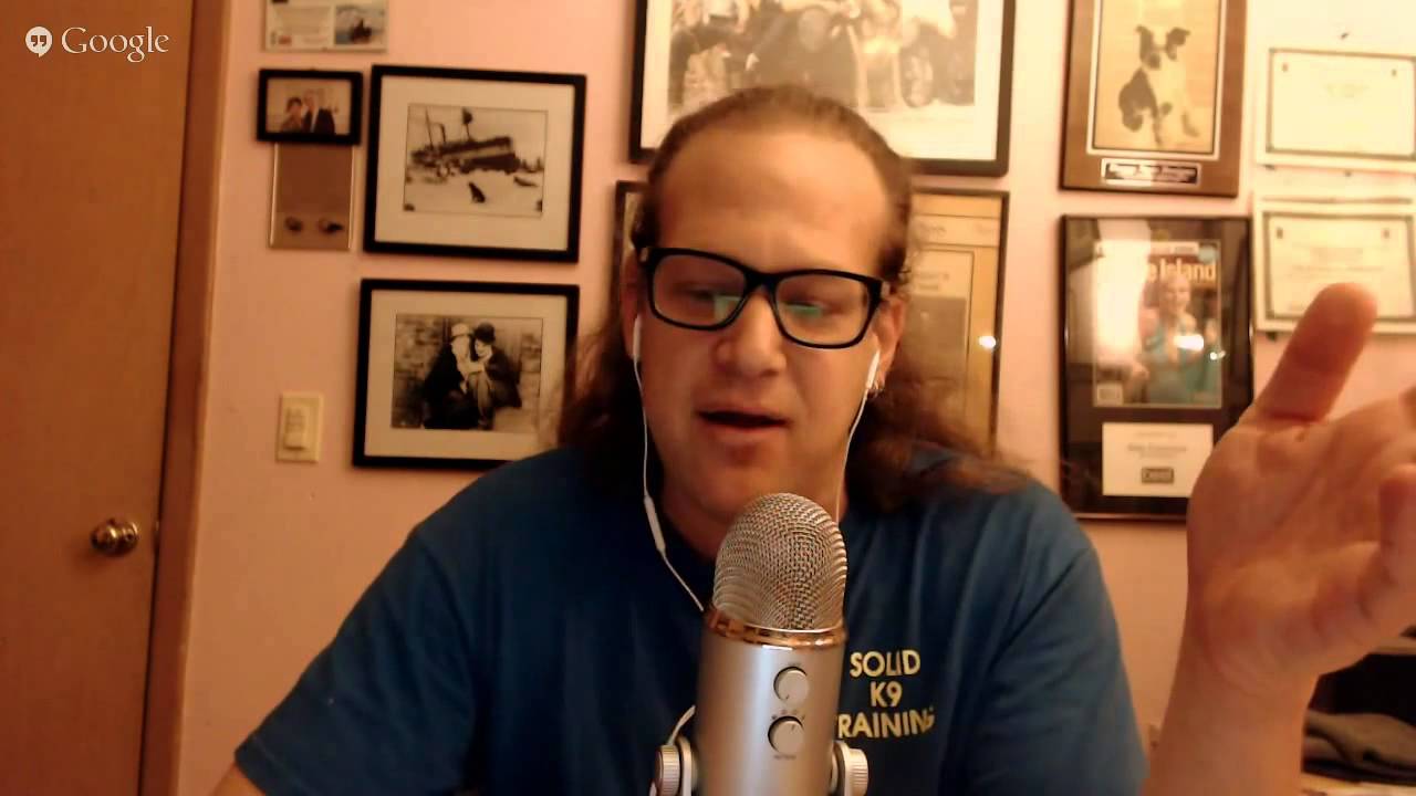 dog trainer in delhi What Would Jeff Do 7 29 2015 Dog Training Webinar