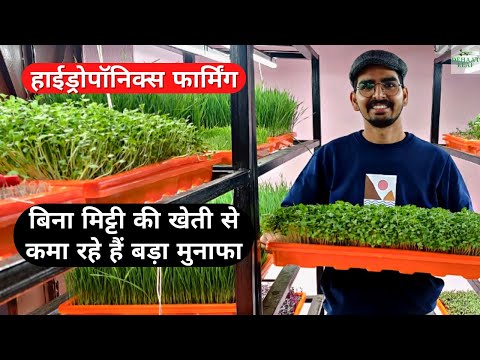 बिना मिट्टी की खेती से मोटी कमाई | Success story of Dehaat Leaf | Hydroponic Business Ideas