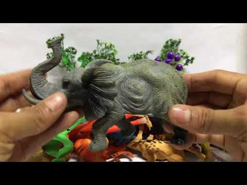 รีวิวโมเดลสัตว์ป่า ของเล่นของสะสม มีเยอะมาก Wildlife model review There are a lot of collectible