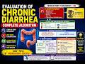 Chronic Diarrhea Made Easy: Complete Diagnostic Algorithm