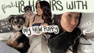 FIRST 48 HOURS WITH MY NEW PUPPY!