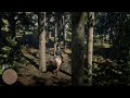 Red Dead Redemption 2_20240704215557