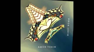 Watch Amon Tobin Kitty Cat video