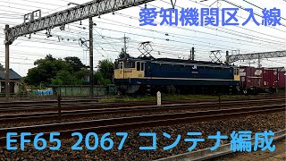 EF65 2067 運用 1255レ愛知機関区到着 JR貨物原色塗装