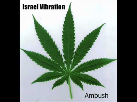 Israel Vibration   Ambush