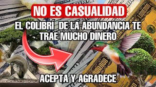 Música de abundancia que atrae el dinero desde el momento COLIBRI PROSPERIDAD Y SUERTE