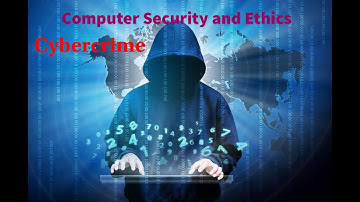 Computer 9 Chapter 6 Cybercrime