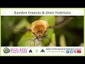 Garden Insects &amp; their Habitats