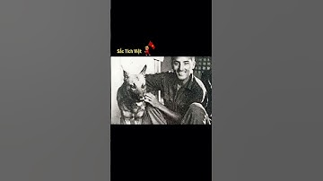 Người cận vệ trung thành của Bác Hồ #shorts