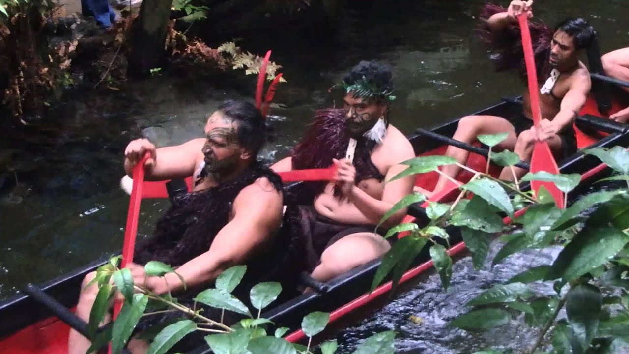 Maori Tribe Rowing a War Canoe