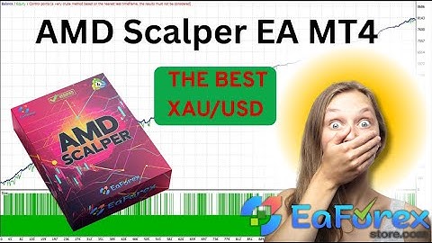 AMD Scalper EA MT4 Review + Setting | EA Forex Store