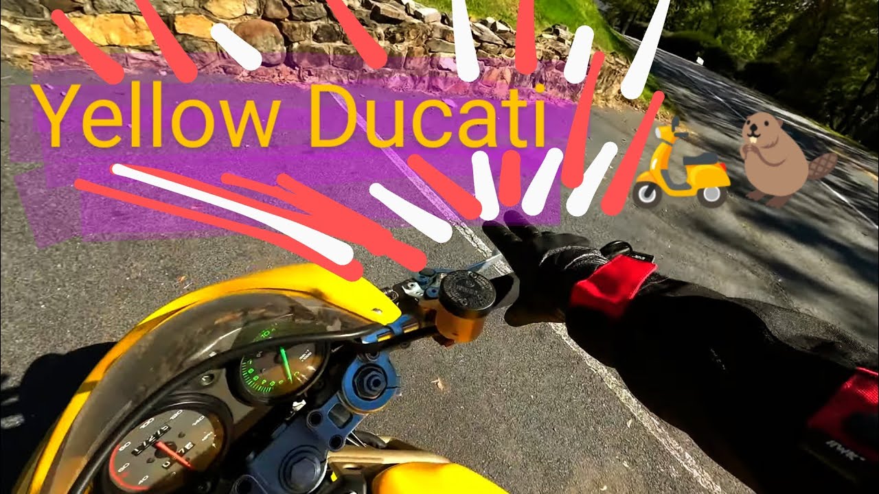 Two-Up Ducati Monster - Chill ride thru Aldie, Virginia