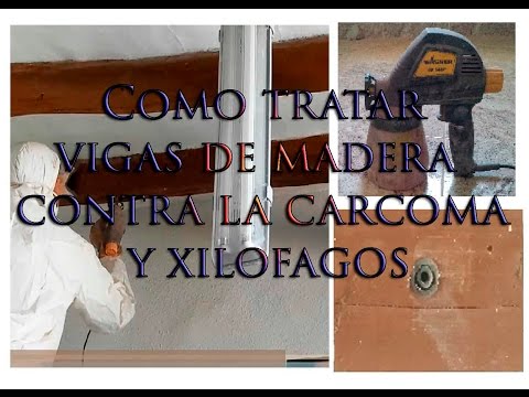 Vídeo: Com tractar la fusta tallada en brut?