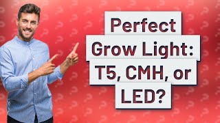 How Do I Choose Between T5 Fluorescent, CMH, and LED Grow Lights?