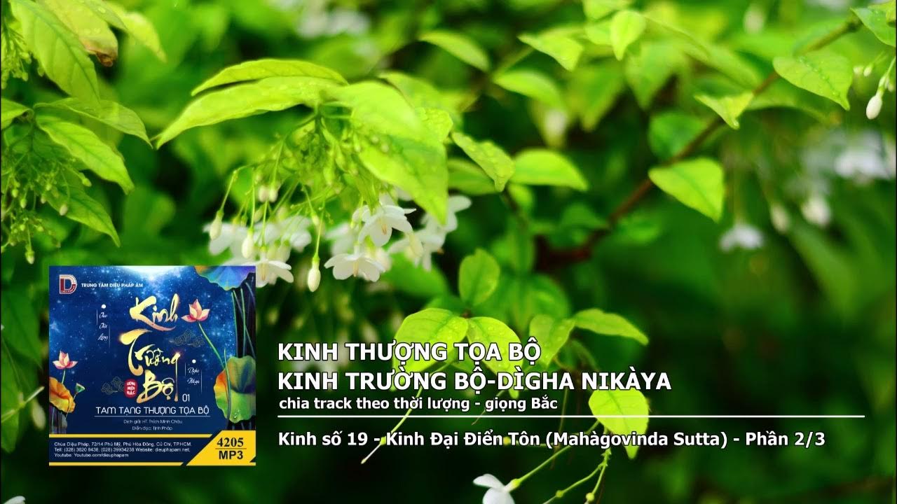 K.số 19 – K.Đại Điển Tôn – Phần 2–3 giọng Bắc 