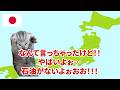 【2050年までの約束】アラブ諸国が日本を特別扱いする理由とは?#猫マニ #猫ミーム