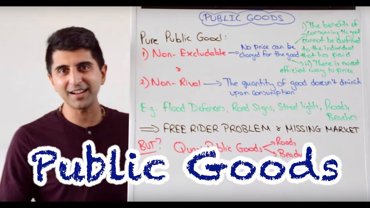 What Are Public Goods? Definition and Meaning