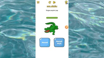 BRAİN BLOW 🧠 387. LEVEL ( MAKE THE RIGHT CHOICE ) HOW TO PASS