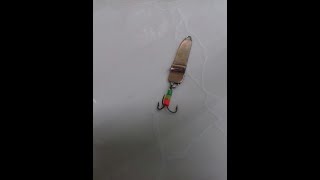 СС-27 игра под водой