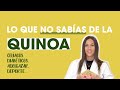 🥗Todo sobre la QUINOA: qué es, propiedades, beneficios y recetas | Mifarma Farmacia