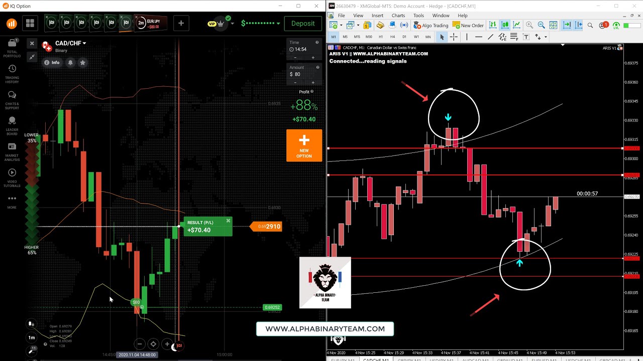 setod dhow trading)