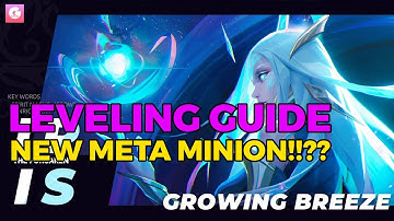 New Iris Growing Breeze  - Leveling Build Guide... NEW META MINION!!?? Torchlight infinite SS4