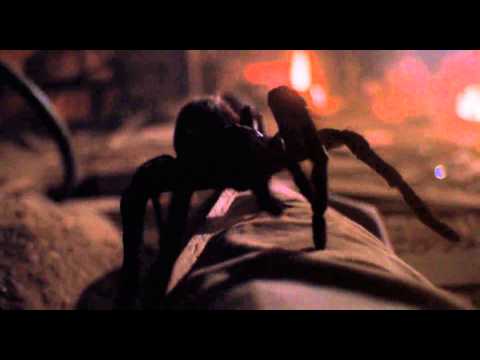 Arachnophobia Animatronic Spider