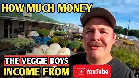 HOW MUCH MONEY DOES THE VEGGIE BOYS CHANNEL EARN FROM YOUTUBE