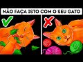 26 Erros Perigosos Que Donos De Gato Cometem