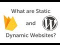 What are static and dynamic websites?