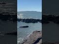 Tides out at Emu Park in Yeppoon
