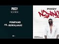 PIKSY NZANGA VIDEO LYRICS BY SKYCE JUNIOR PEMBA