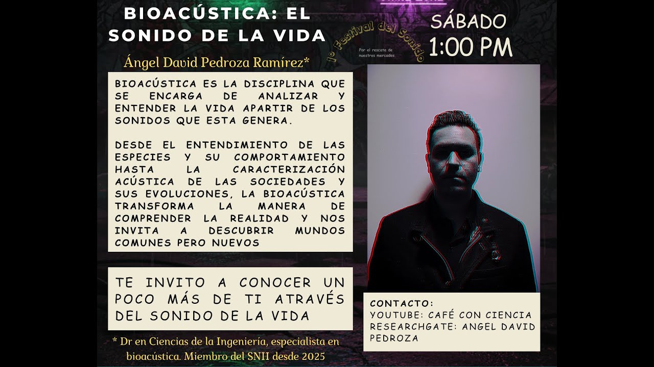 Bioacústica el sonido de la vida - YouTube