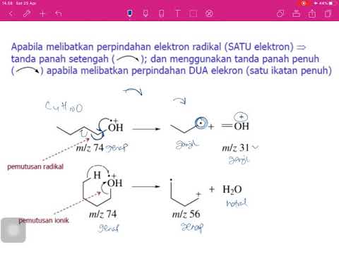 Video: Bagaimana terjadinya fragmentasi biologi?