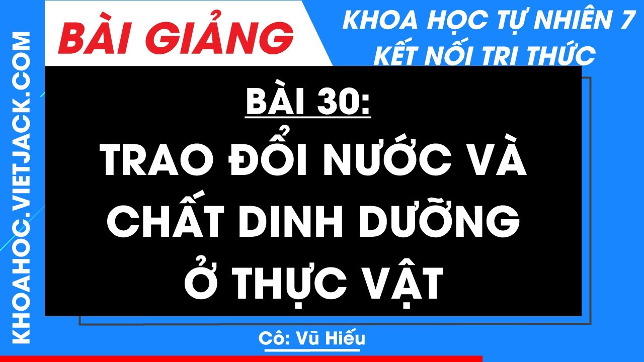 Khoa học tự nhiên 7 Bài 30: Trao đổi nước và chất dinh dưỡng ở thực vật | Kết nối tri thức
