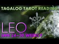 &quot;Sarili mong desisyon&quot; LEO WEEKLY January 24-30 2022 Tagalog Tarot Reading