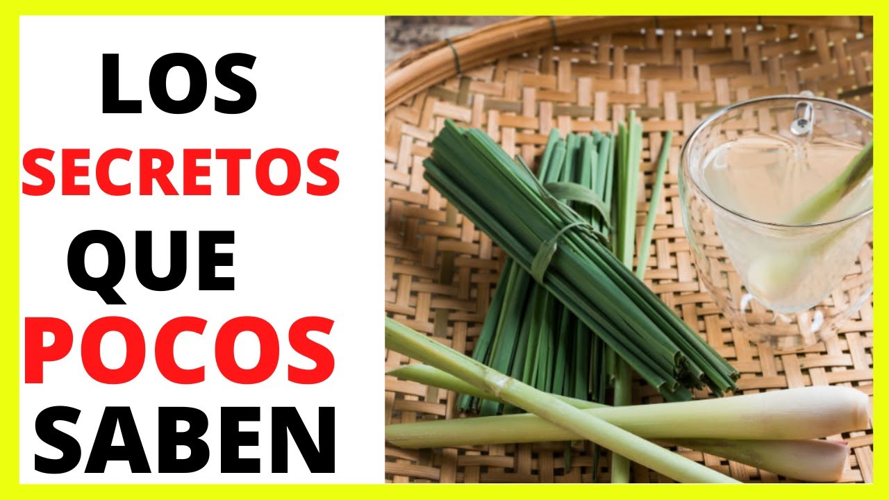 En QUÉ AYUDA el TÉ DE la HIERBA DE LIMÓN LIMONCILLO