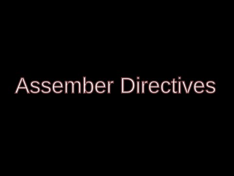 2  Assembler Directives