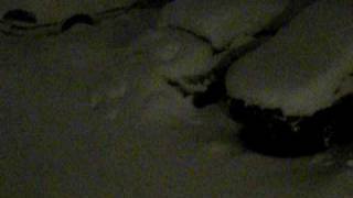 snow days 013.AVI