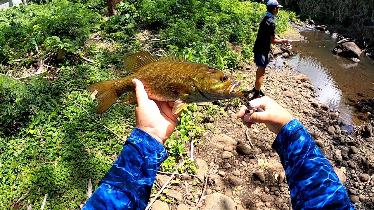 Small mouth bass fishing hawaii YouTube
