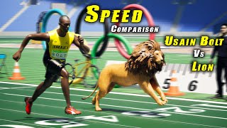 Speed Comparison World Fastest Man Vs Lion
